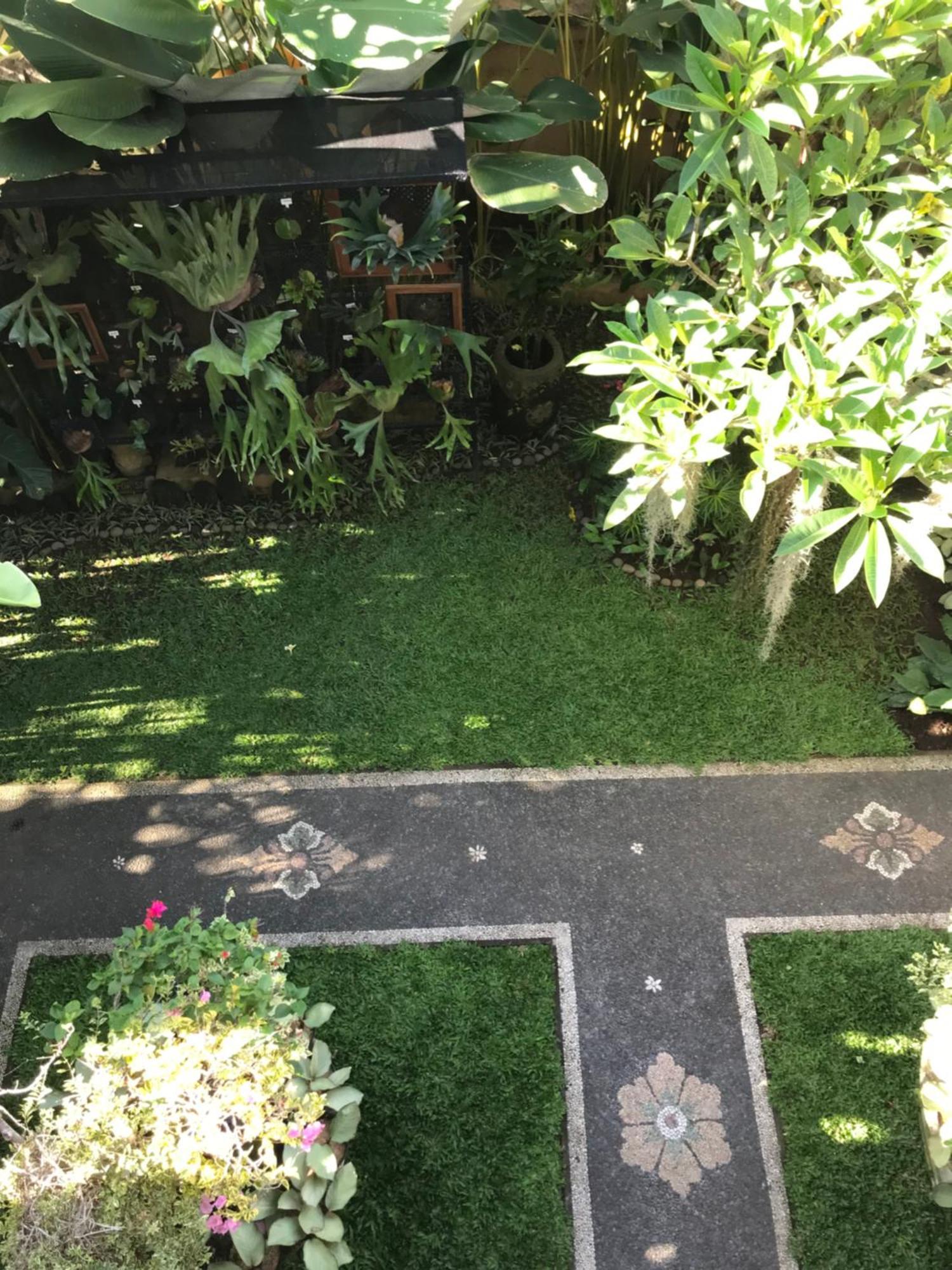 Gus Arditya Homestay Ubud Zewnętrze zdjęcie