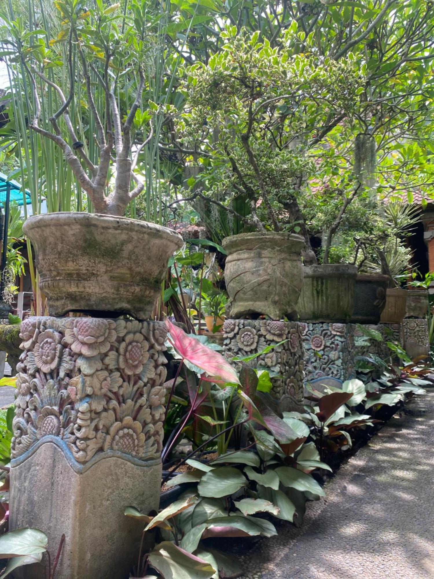 Gus Arditya Homestay Ubud Zewnętrze zdjęcie