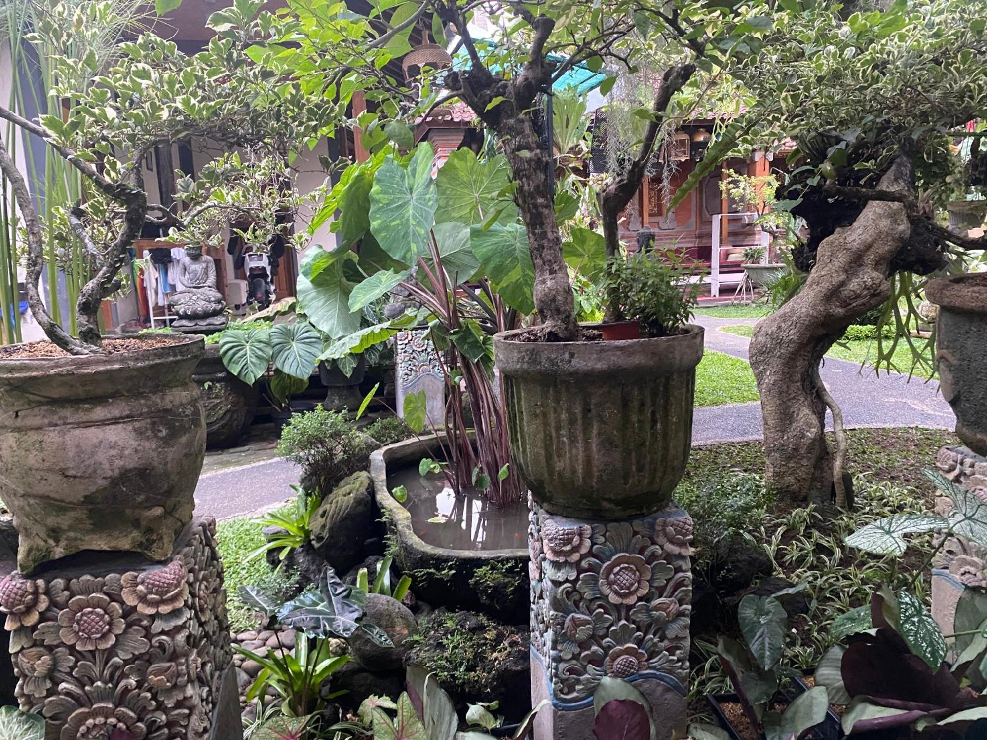 Gus Arditya Homestay Ubud Zewnętrze zdjęcie