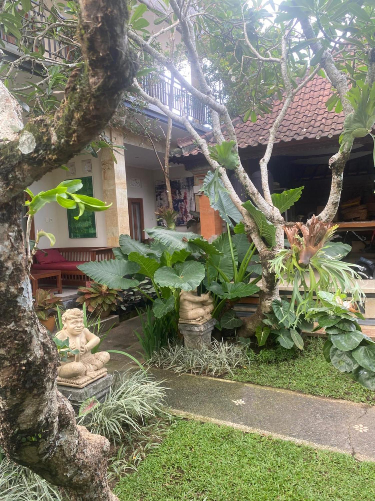 Gus Arditya Homestay Ubud Zewnętrze zdjęcie