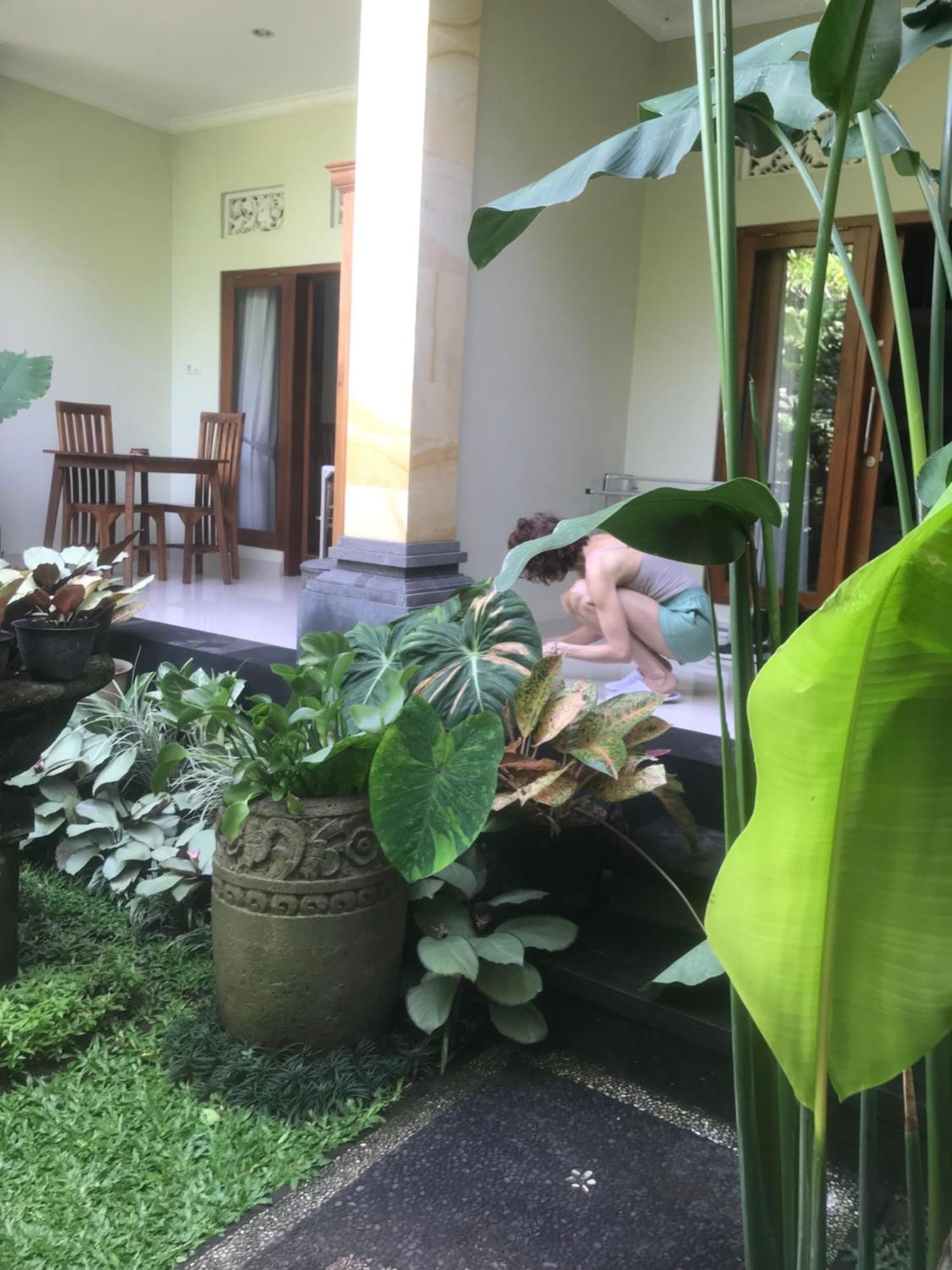 Gus Arditya Homestay Ubud Zewnętrze zdjęcie